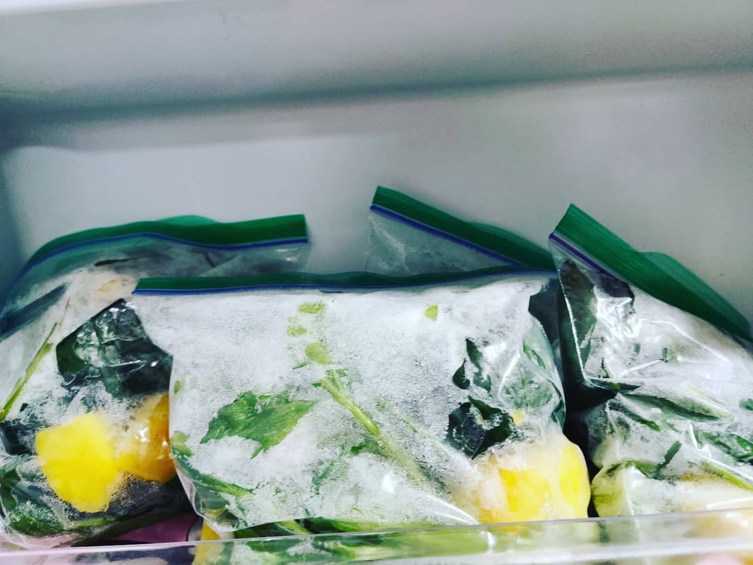 Chicharrón en Salsa Verde: Un Viaje Culinario